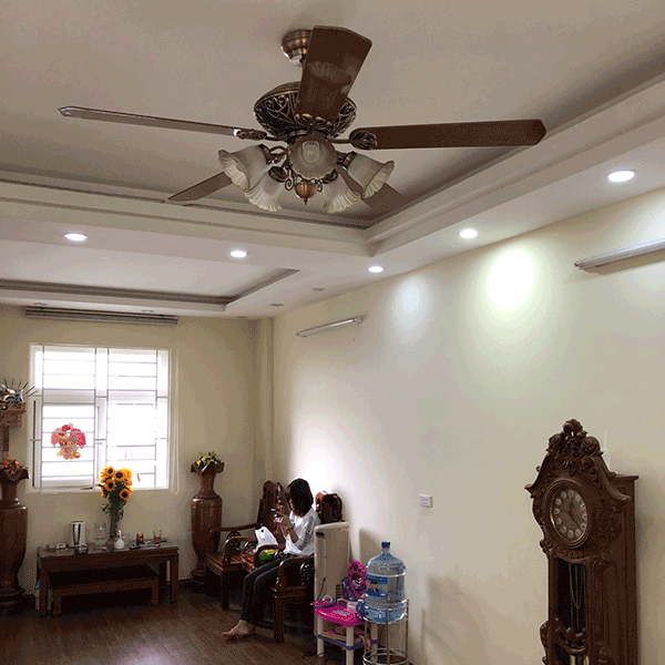 ảnh thực tế